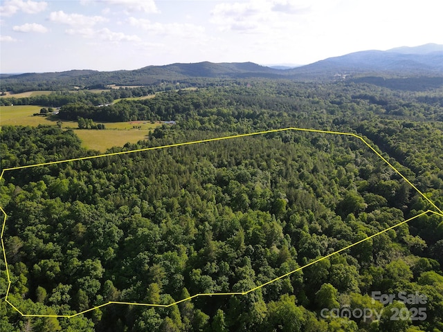 03 Rhoney Rd, Connelly Springs NC, 28612 land for sale