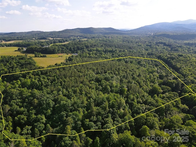 03 Rhoney Rd, Connelly Springs, NC 28612 - photo 1