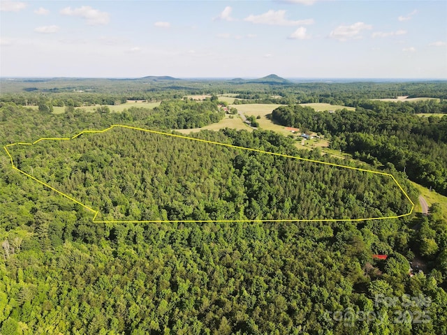 03 Rhoney Rd, Connelly Springs, NC 28612 - photo 10