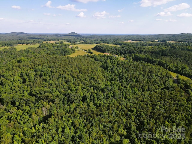 03 Rhoney Rd, Connelly Springs, NC 28612 - photo 11