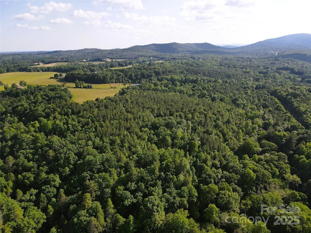 03 Rhoney Rd, Connelly Springs, NC 28612 - photo 15