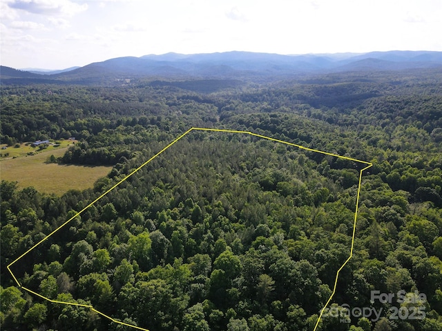 03 Rhoney Rd, Connelly Springs, NC 28612 - photo 16