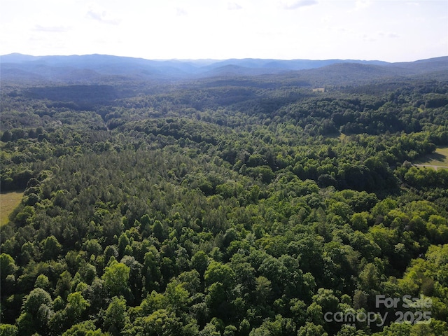 03 Rhoney Rd, Connelly Springs, NC 28612 - photo 17