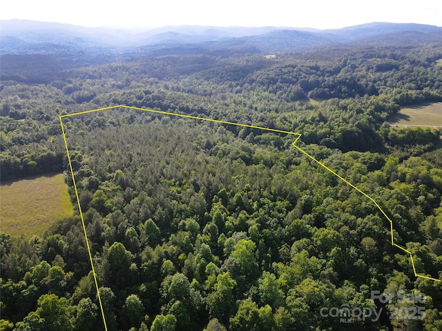 03 Rhoney Rd, Connelly Springs, NC 28612 - photo 18
