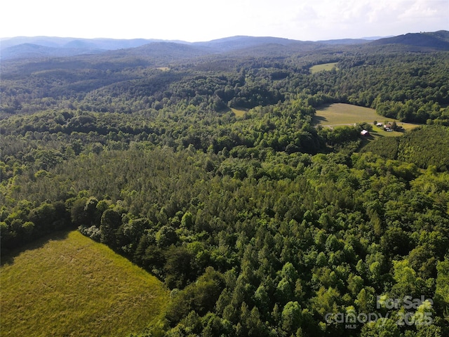 03 Rhoney Rd, Connelly Springs, NC 28612 - photo 19