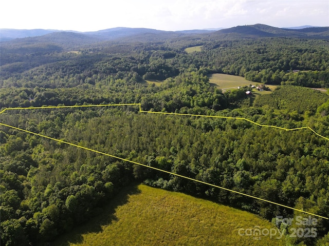 03 Rhoney Rd, Connelly Springs, NC 28612 - photo 20