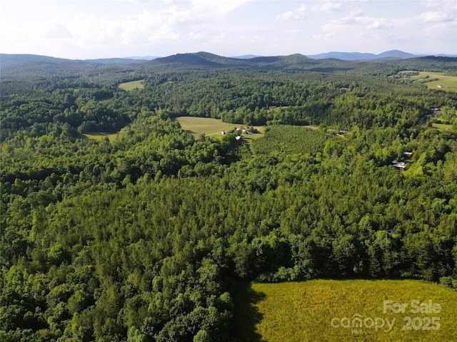 03 Rhoney Rd, Connelly Springs, NC 28612 - photo 21