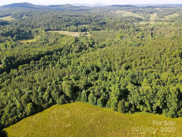03 Rhoney Rd, Connelly Springs, NC 28612 - photo 22