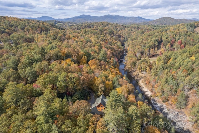 bird's eye view featuring a mountain view