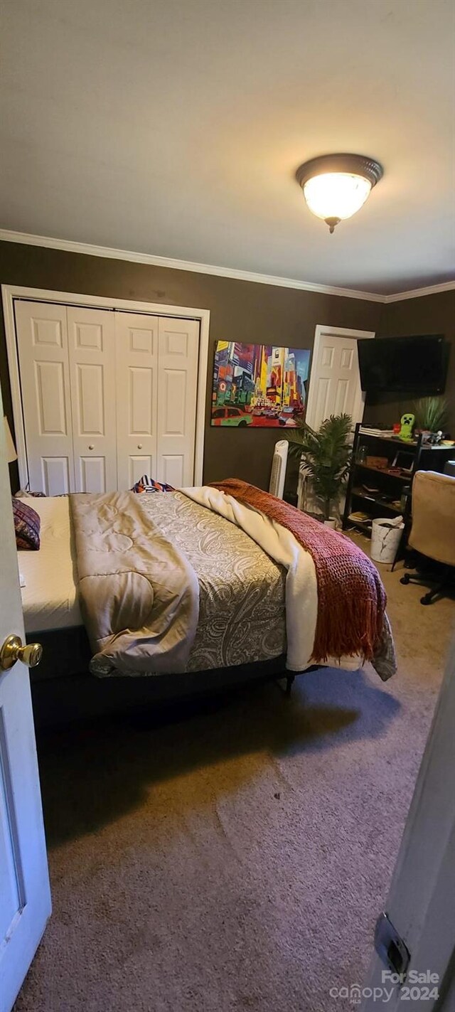 bedroom featuring carpet floors, ornamental molding, and a closet