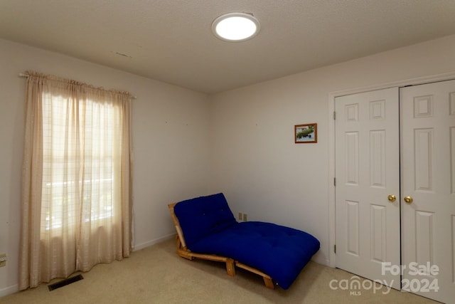 sitting room featuring carpet