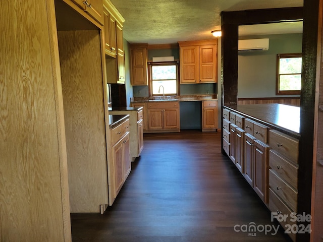 kitchen featuring plenty of natural light, sink, dark hardwood / wood-style flooring, and a wall mounted air conditioner