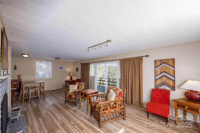 living room featuring a fireplace, hardwood / wood-style floors, and rail lighting