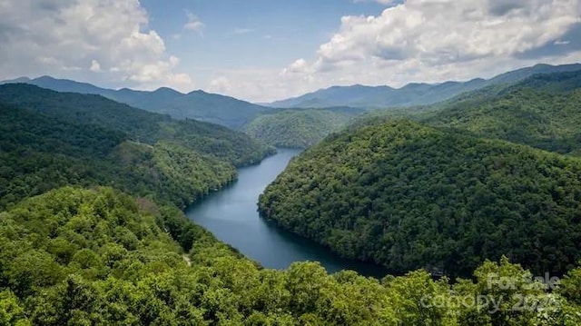 property view of mountains with a water view