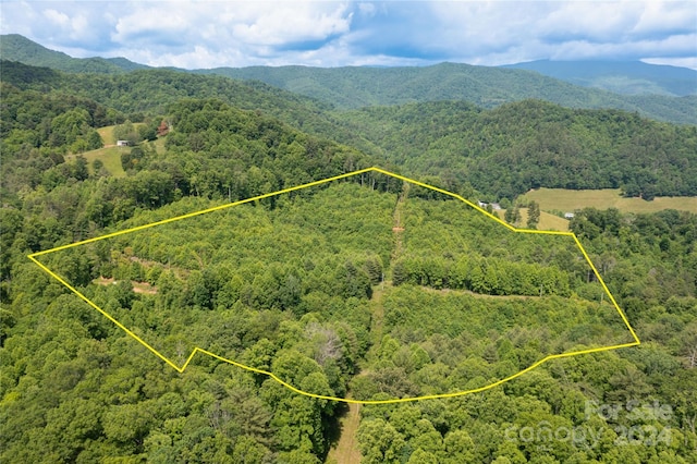 000 Destiny Rd, Waynesville NC, 28785 land for sale