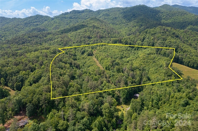 Listing photo 2 for 000 Destiny Rd, Waynesville NC 28785