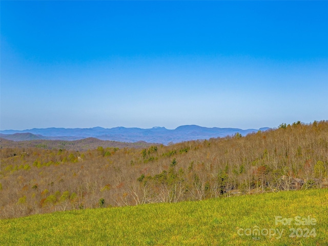 1600 Steel Creek Rd, Brevard NC, 28712 land for sale