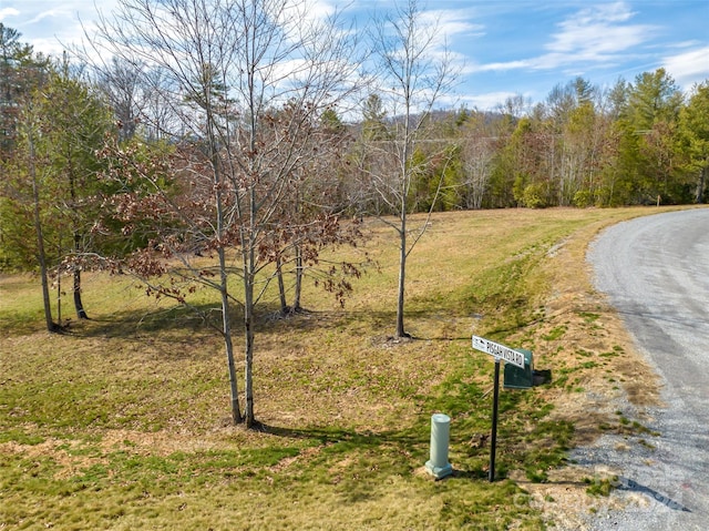 Listing photo 3 for 405 Pisgah Vista Rd Unit 34, Fletcher NC 28732