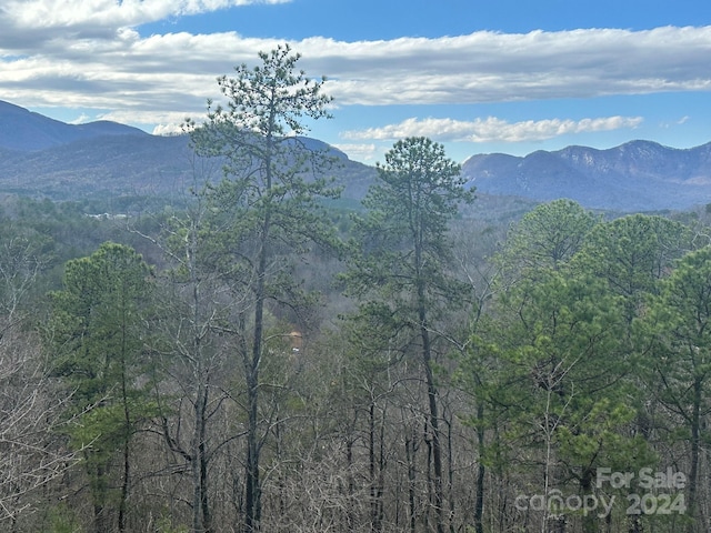 0000 Boulder Rdg, Lake Lure NC, 28746 land for sale