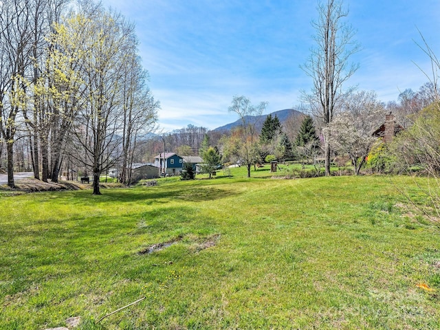 view of yard featuring a mountain view