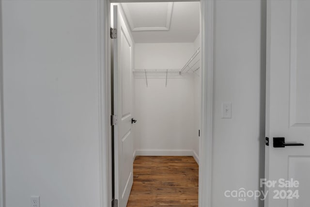 walk in closet featuring hardwood / wood-style floors