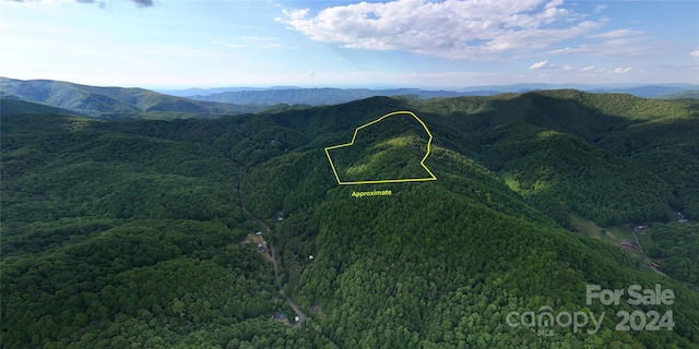 000 N 226th Hwy, Bakersville NC, 28705 land for sale