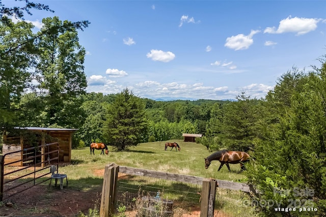 view of yard with a rural view