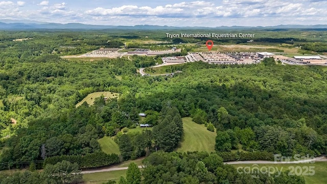 aerial view featuring a mountain view