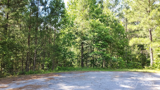 0 Ashley Ct Unit 7, Mill Spring NC, 28756 land for sale