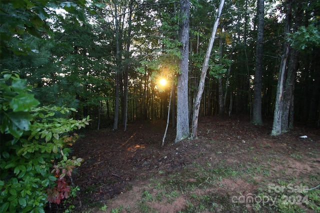 Listing photo 3 for TBD Poplar Bluff Dr Unit 36, Lenoir NC 28645