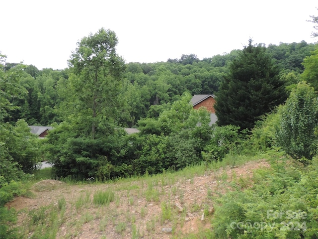 Listing photo 3 for LOT15 Constitution Ave # 15, Waynesville NC 28785