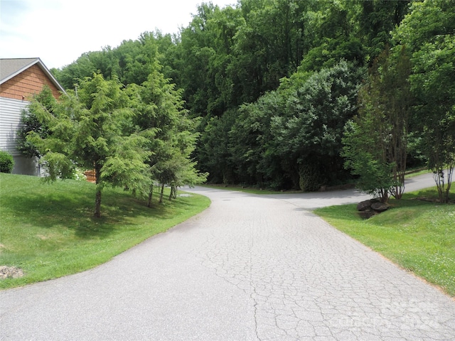 LOT15 Constitution Ave # 15, Waynesville, NC 28785
