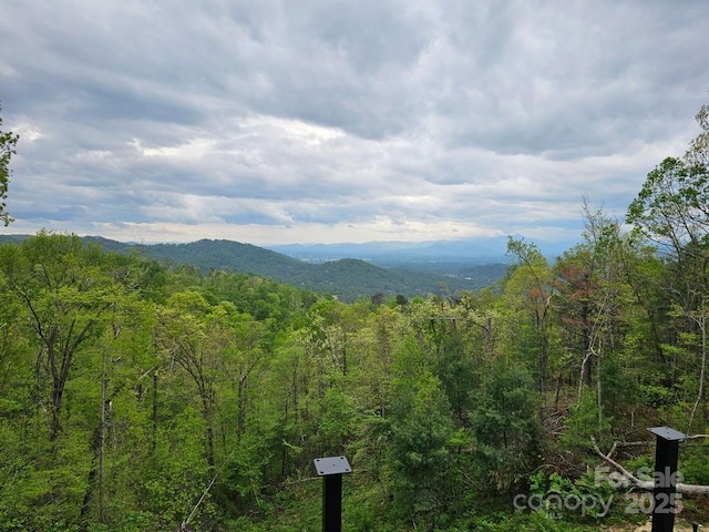 property view of mountains featuring a forest view