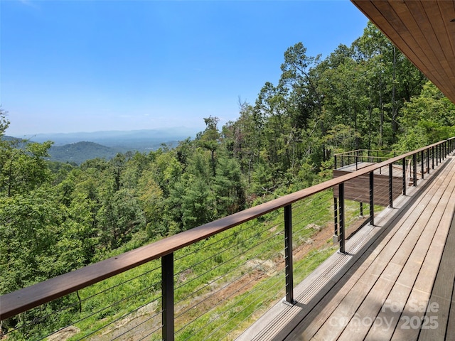631 Elk Mountain Scenic Hwy, Asheville, NC 28804 - photo 5