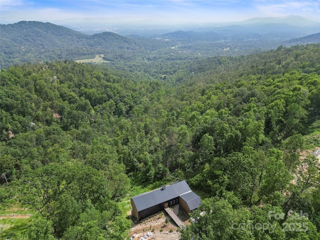 631 Elk Mountain Scenic Hwy, Asheville, NC 28804 - photo 6
