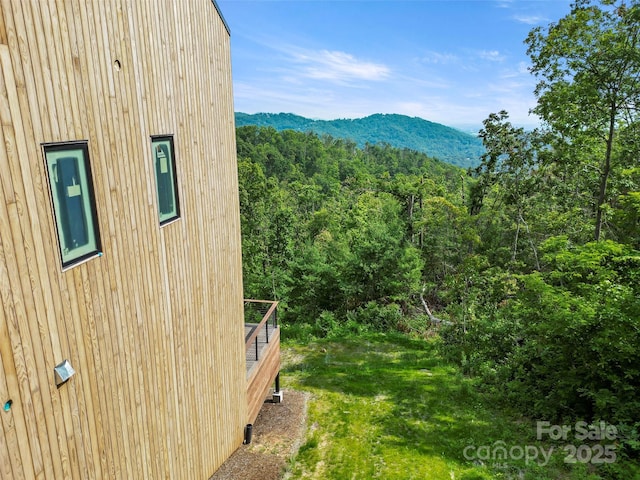 631 Elk Mountain Scenic Hwy, Asheville, NC 28804 - photo 7