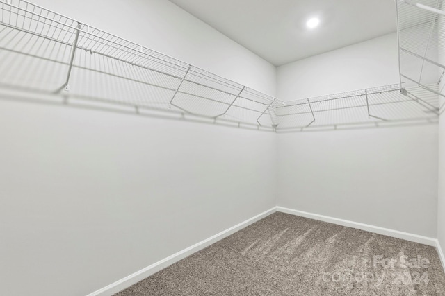 walk in closet featuring carpet flooring