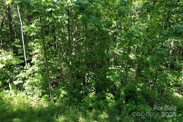 999 Panther Gap Rd, Brevard NC, 28712 land for sale