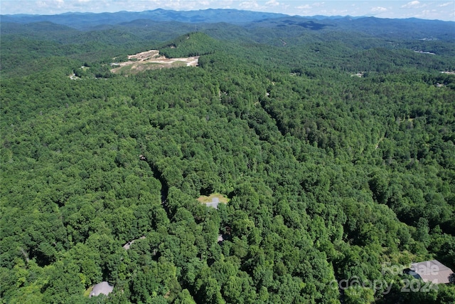 Listing photo 2 for 999 Panther Gap Rd, Brevard NC 28712