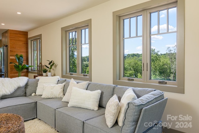 carpeted living room with a wealth of natural light