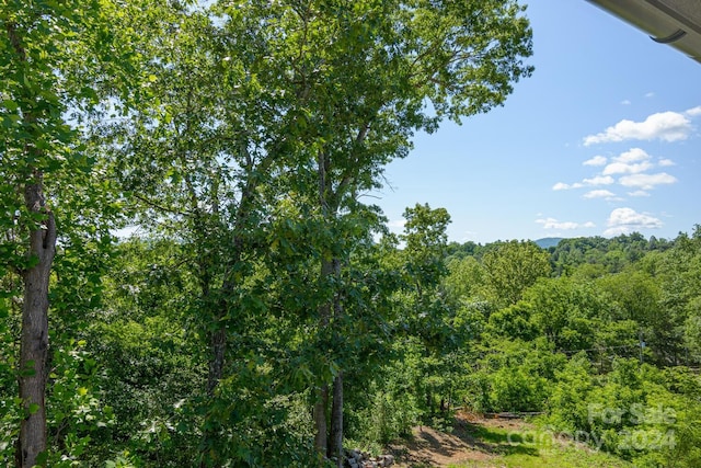 view of local wilderness