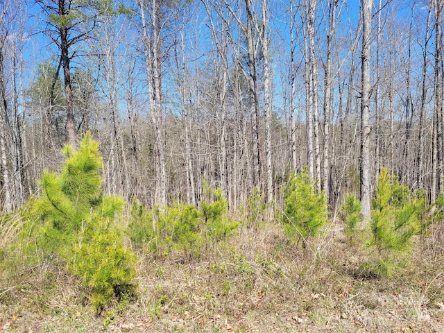 00 Boy Scout Rd Unit 1643579, Rutherfordton NC, 28139 land for sale