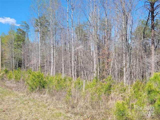 Listing photo 2 for 00 Boy Scout Rd Unit 1643578, Rutherfordton NC 28139