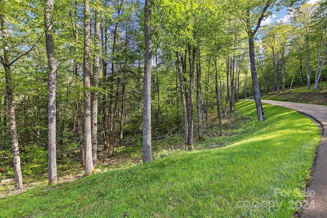 78 Eagles Nest Ln, Banner Elk NC, 28622 land for sale