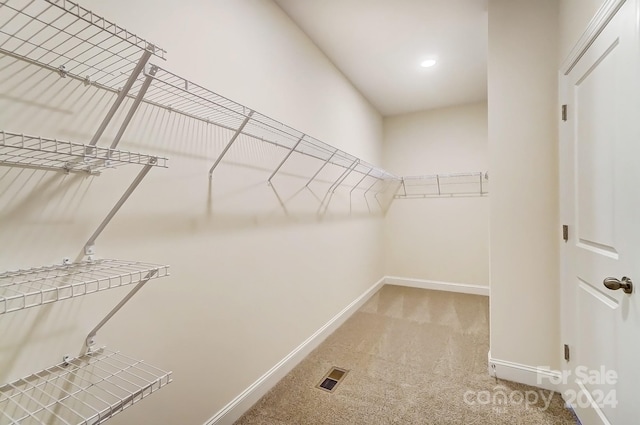 spacious closet with light colored carpet