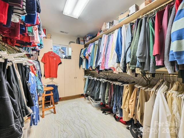 view of spacious closet