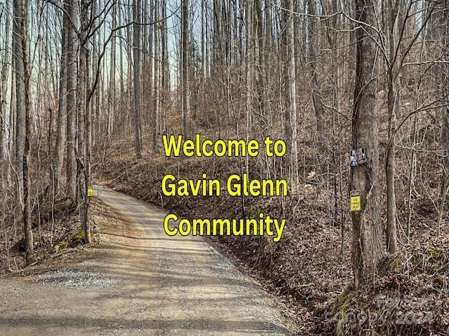 Listing photo 3 for 130 Gavin Glenn Rd, Weaverville NC 28787