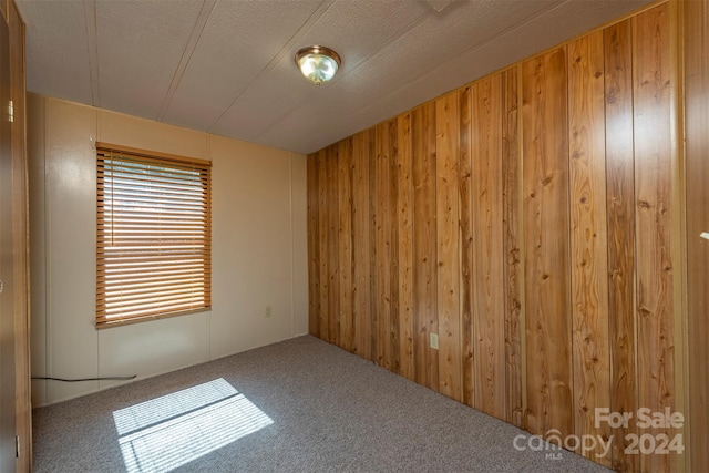 carpeted spare room with a textured ceiling and wood walls