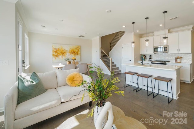 living room with sink and dark wood-type flooring