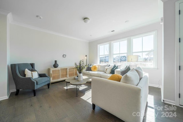 living room with dark wood-type flooring and ornamental molding